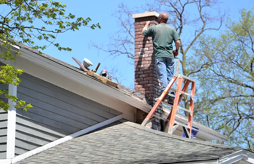 Chimney & Fireplace Inspections Services in Haines City, FL
